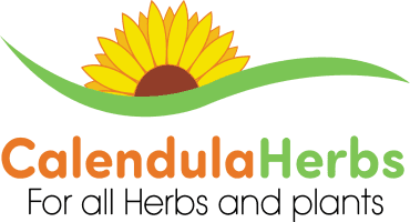 Calendula Herbs